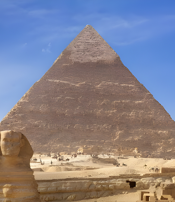 International Travel Agency in Anna Nagar