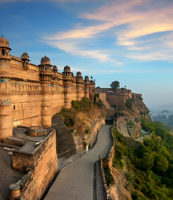 International Travel Agency in Anna Nagar